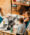 A photo of an office space while three women work at a table