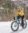 Male Click Rain employee riding a mountain bike in the mountains with snow tires in the snow