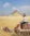 Click Rain employee riding a camel in front of the pyramids in Egypt