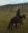 Image of woman riding a horse in the Badlands